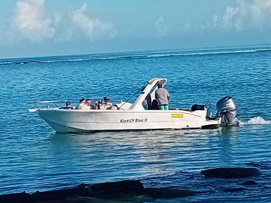 La Preneuse: Dolphin Watching and Snorkeling Speedboat Tour - Price, equipment, and overall value