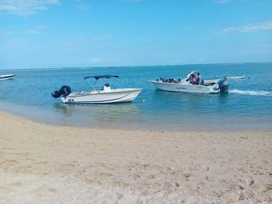 La Preneuse: Dolphin Watching and Snorkeling Speedboat Tour - Who should book this speedboat trip