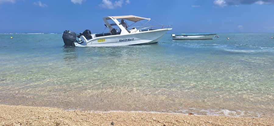 La Preneuse: Dolphin Watching and Snorkeling Speedboat Tour - FAQ