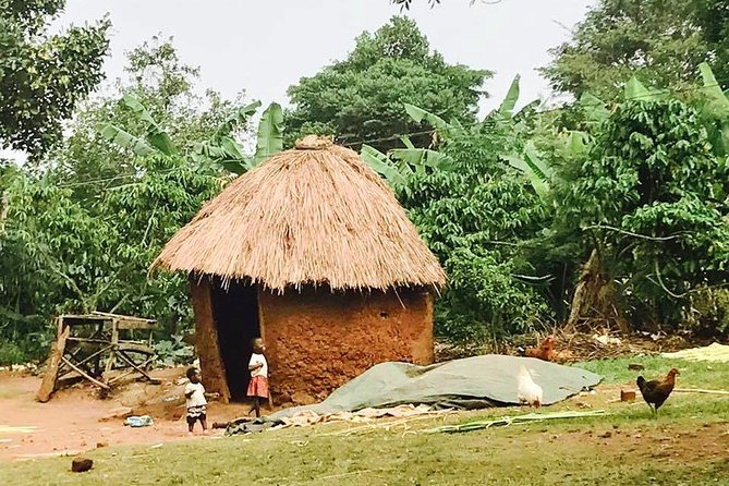 Lake Victoria Island Cycling Tour from Kampala - Island roads, jungle paths, and village life