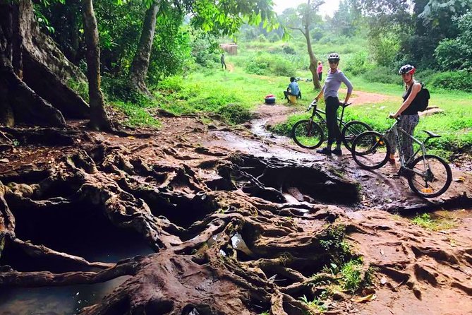 Lake Victoria Island Cycling Tour from Kampala - Is $62.23 good value?