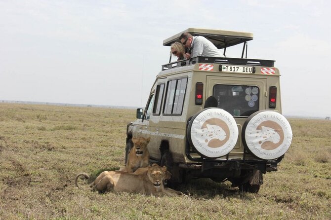 Living Among Lions - Key things to know before booking