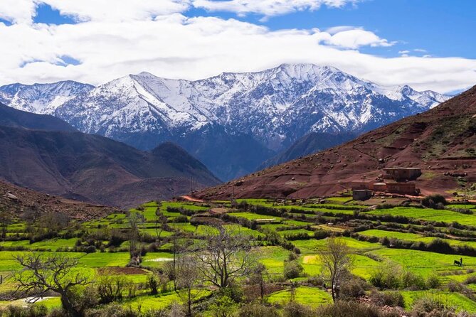 Lunch in the High Atlas: Ourika Valley Waterfalls & 3 Valleys - Who will enjoy this evening most?