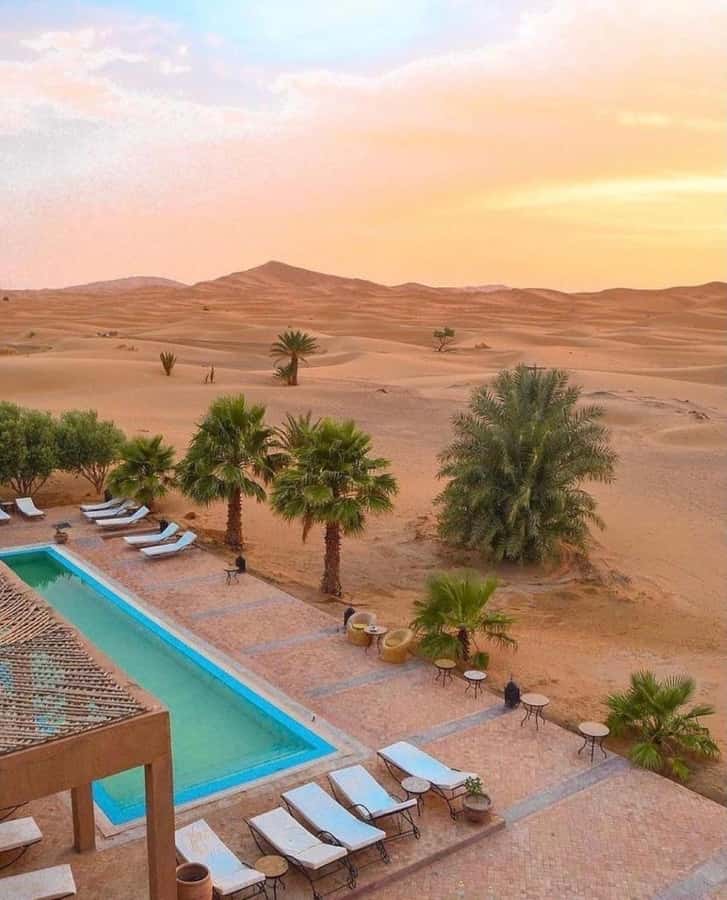 Lunch & Swimming Camel Ride and Quad Biking in Agafay - Pool time, Berber camp, and Moroccan tea
