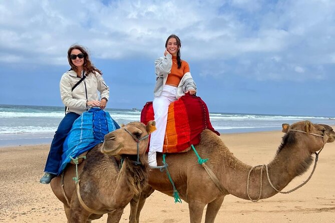 luxury 4 Hour Private Tour of Tangier - From Mohammed V Mosque to Marshan Palace