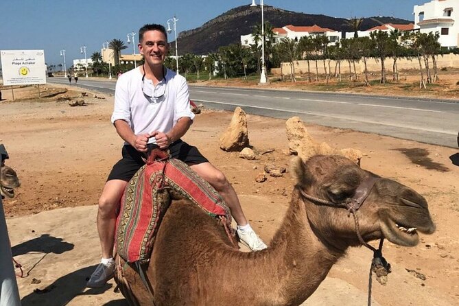 luxury 4 Hour Private Tour of Tangier - Parc Perdicaris and the story behind the name
