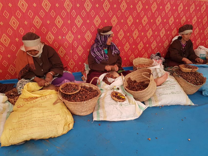 Luxury day trip to Essaouira from Marrakech - The argan oil cooperative and the famous tree-climbing goats