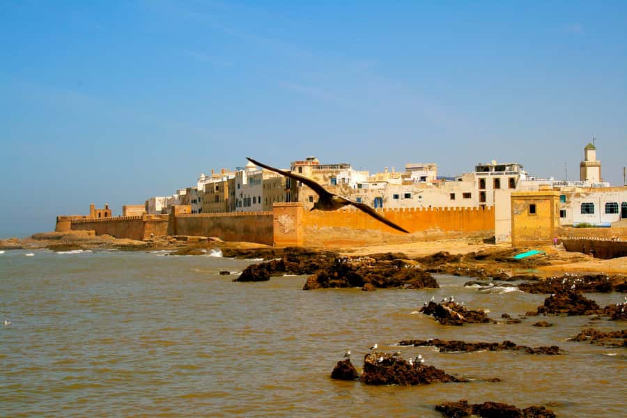 Luxury day trip to Essaouira from Marrakech - The return journey and traditional mint tea