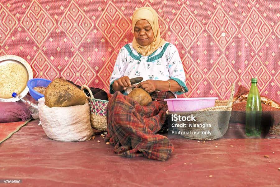 Luxury day trip to Essaouira from Marrakech - Is $34 good value?