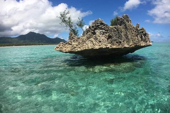 Lydia Boat Mauritius :Private boat tour:Whales&Dolphins encounter - Private boat value at $225.93 per person