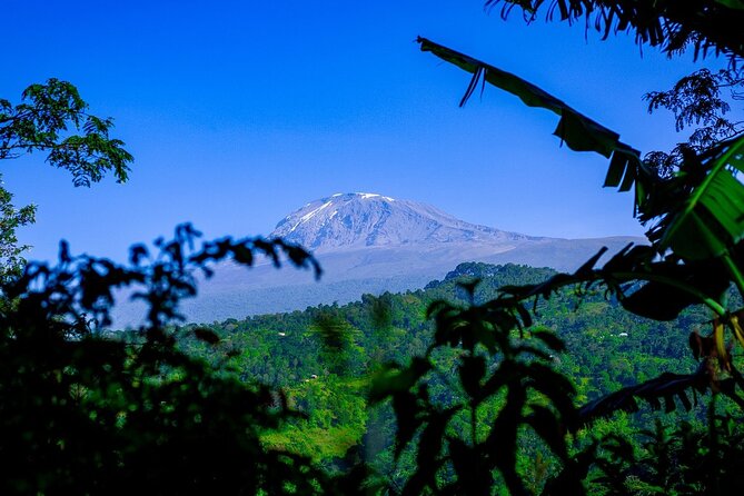 Maasai village visit, Materuni waterfalls & coffee experience - Hiking from Materuni village to the waterfall