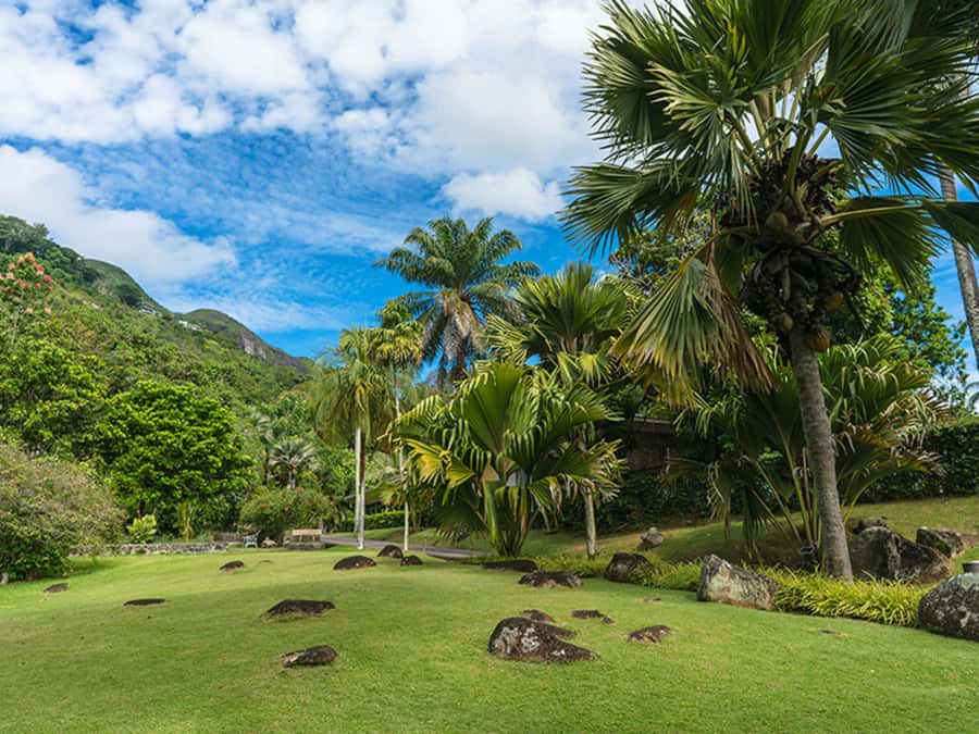 Mahé Island: Island Highlights Guided Day Trip with Lunch - Key points to know before you book