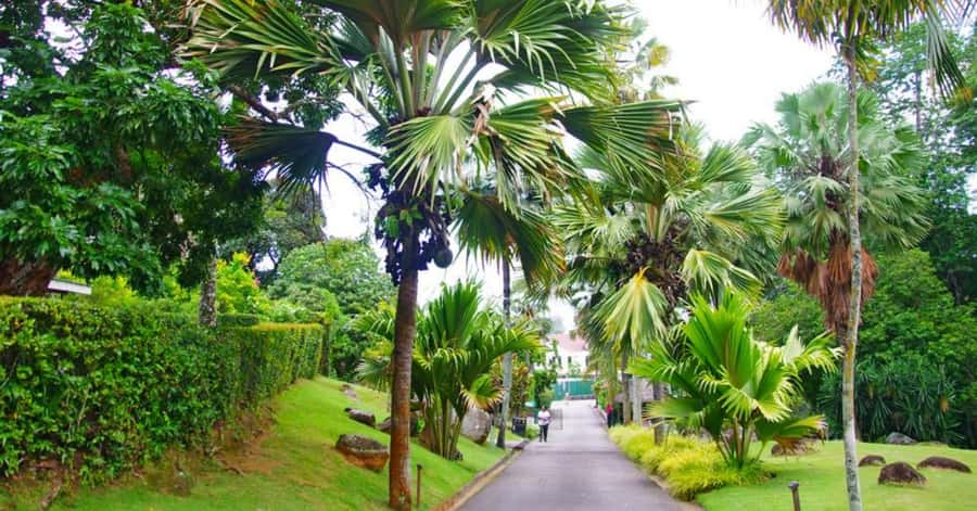 Mahé: Private Customizable Full-Day Tour with Hotel Pickup - Why a private day is a smart way to see Mahé