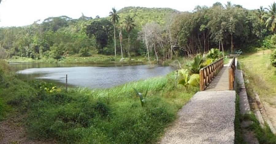 Mahé: Private Customizable Island Tour with Hotel Transfer - Should you book the Mahé private tour?