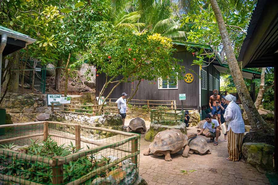 Mahé: Saint-Anne Marine Park and Moyenne Island Cruise - Cruising through Saint-Anne Marine Park