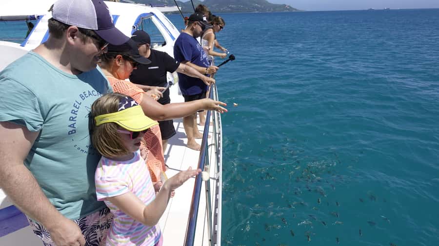 Mahe: St.Anne Marine National Park Reef Safari with Lunch - What this St. Anne Marine Park day is really like