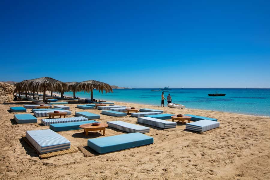 Mahmya Island: Red Sea Sailing Experience - Who will enjoy this Red Sea day most?