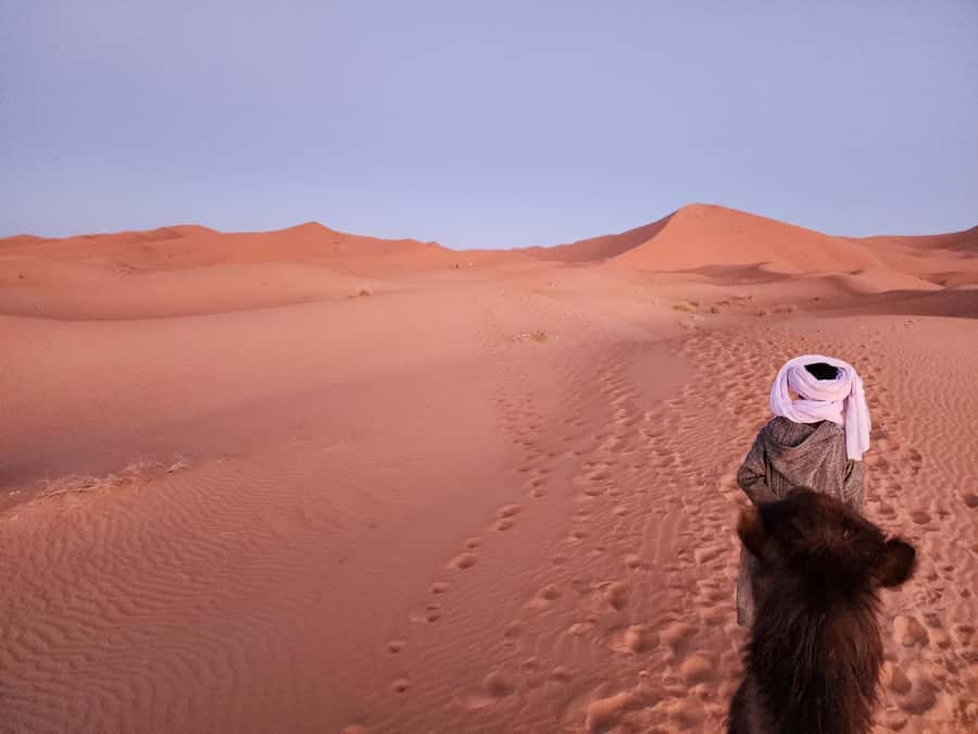 Majestic Desert: 3-Day Luxury Journey from Marrakech to Fes - Day two: Todra Gorge and the road to Merzouga