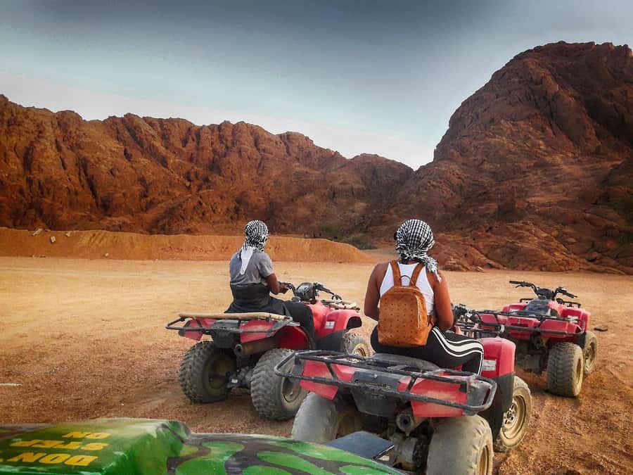 Makadi Bay: 2H Quad Bike, Camel, Stargazing, Dinner & Show - Who will enjoy this outing most