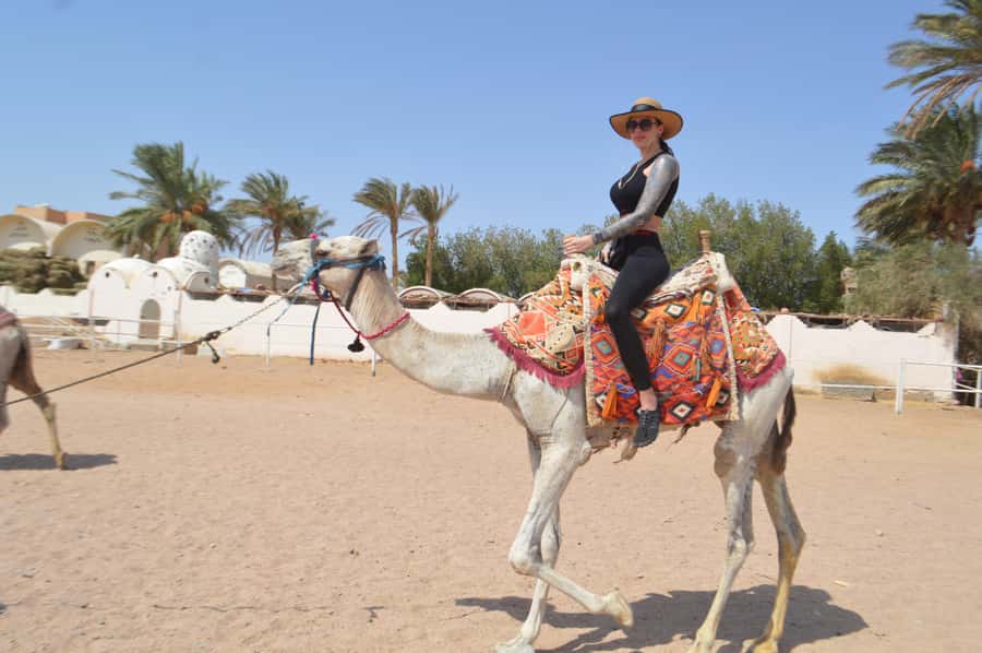 Makadi Bay: ATV, Sea View, Camel, Stargazing, Dinner & Show - Sunrise breakfast and the horse-riding choice