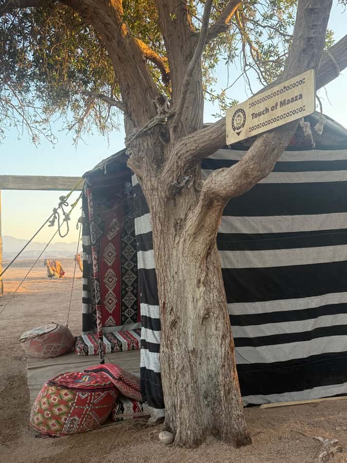 Makadi Bay: BADU Luxury Bedouin Dinner Experience & Stargaze - First arrival: tea, coffee, and the camp setting