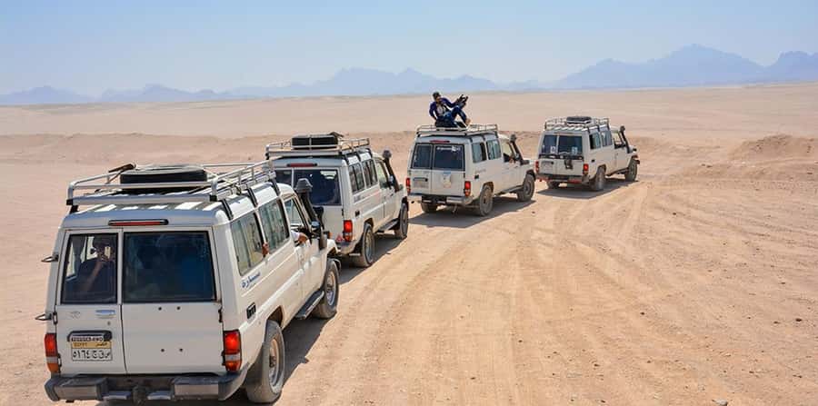 Makadi Bay: Jeep Safari Adventure with Bedouin guide - Who will enjoy this outing most