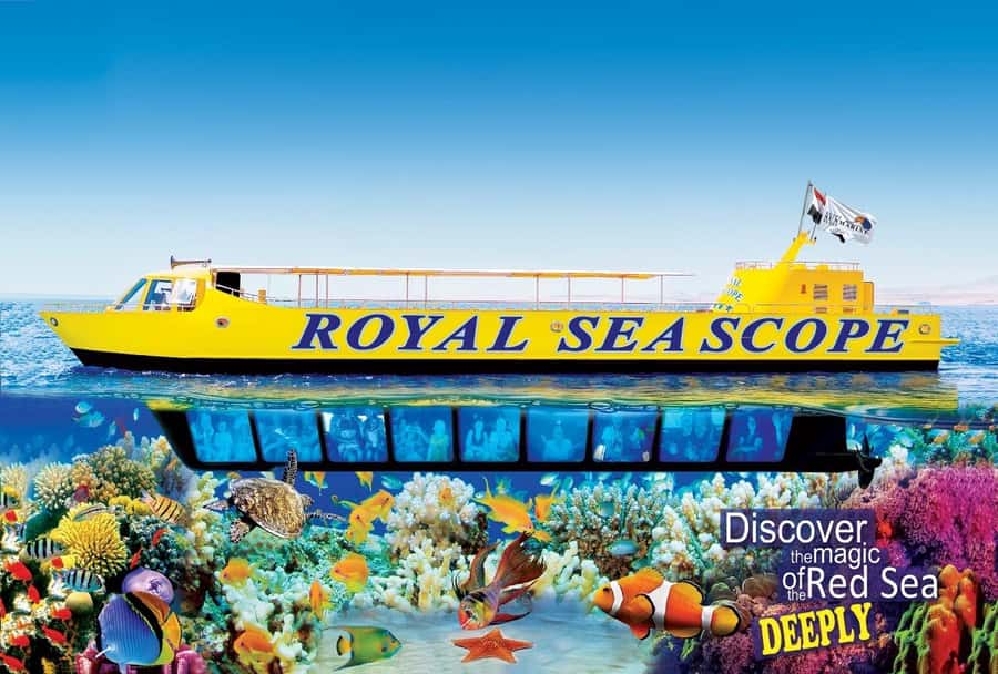 Makadi Bay: Royal Seascope Submarine Cruise & Snorkel stop - A Simple Way to See the Red Sea Reef
