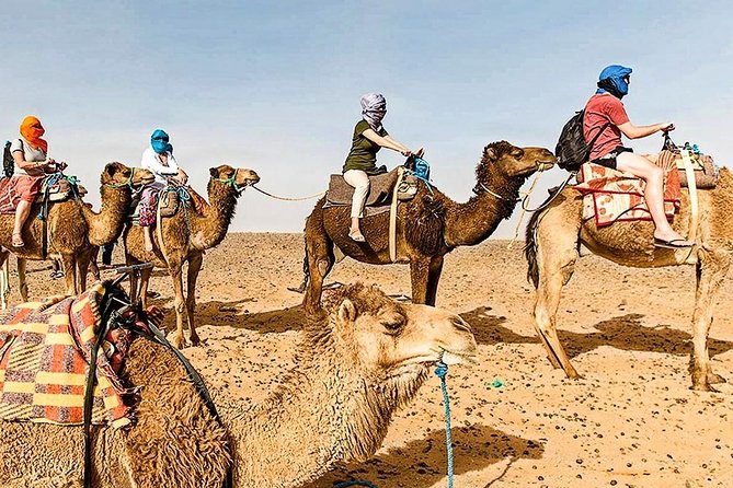 Marrakech: 1 Day Tour-Best of the Atlas Mountains &Three Valleys - Lunch in the Imlil family home