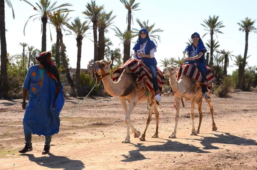 Marrakech : 1-Hour Camel Ride Through the Palm Grove - The cheich scarf and the Moroccan tea stop