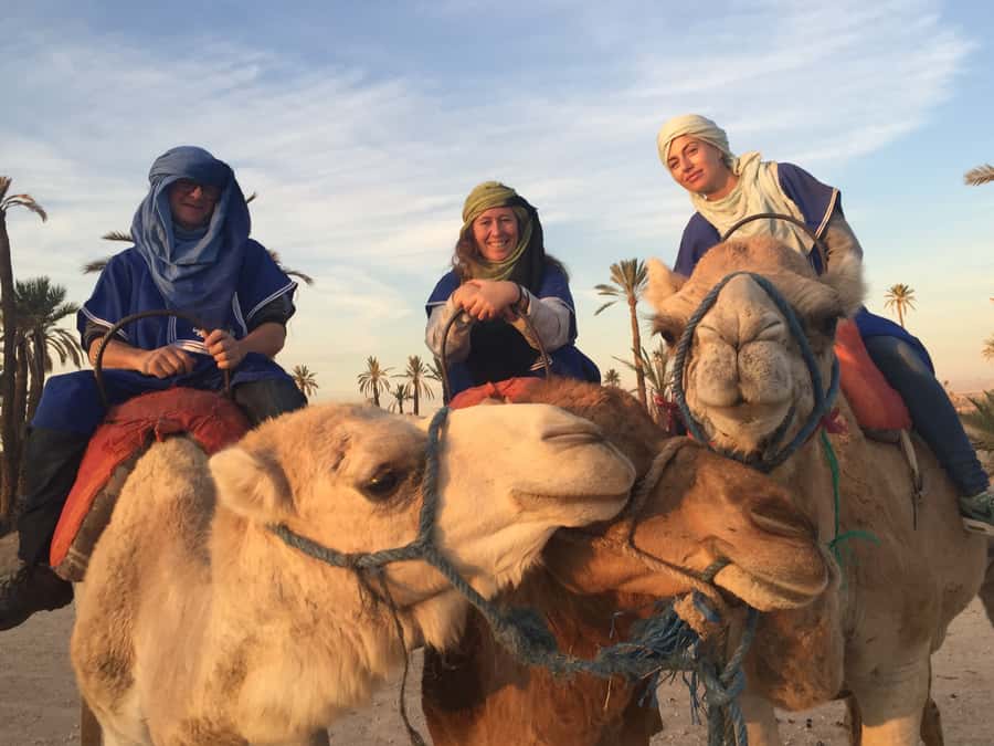 Marrakech : 1-Hour Camel Ride Through the Palm Grove - What the Palmeraie is really like