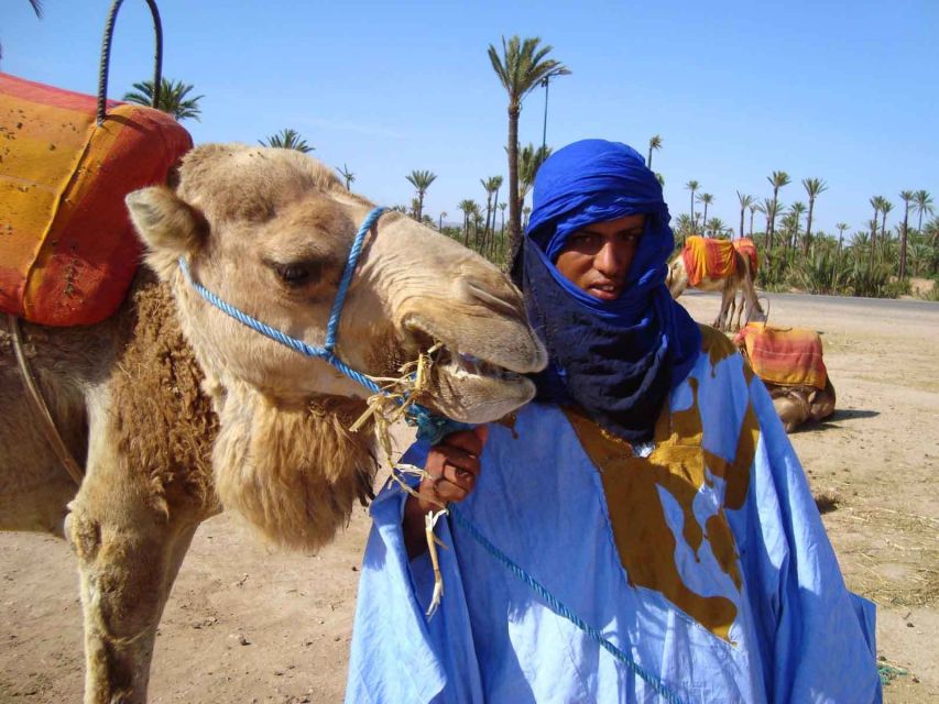 Marrakech : 1-Hour Camel Ride Through the Palm Grove - Practical advice for a smoother outing