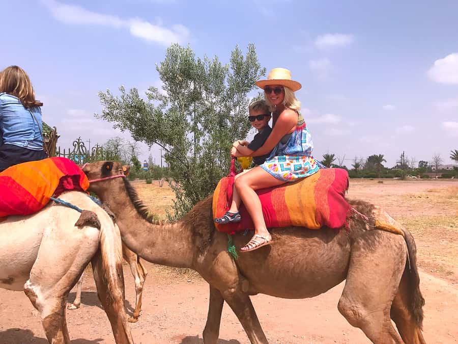 Marrakech : 1-Hour Camel Ride Through the Palm Grove - One hour on a camel among the palms