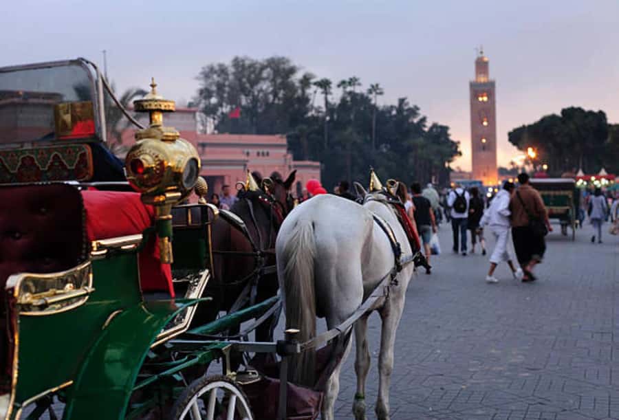 Marrakech: 1-Hour Traditional Horse-Drawn Carriage Tour - Key points to know before booking