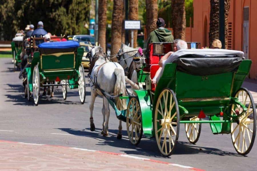 Marrakech: 1-Hour Traditional Horse-Drawn Carriage Tour - Jemaa el-Fnaa and Koutoubia Mosque from a slower seat