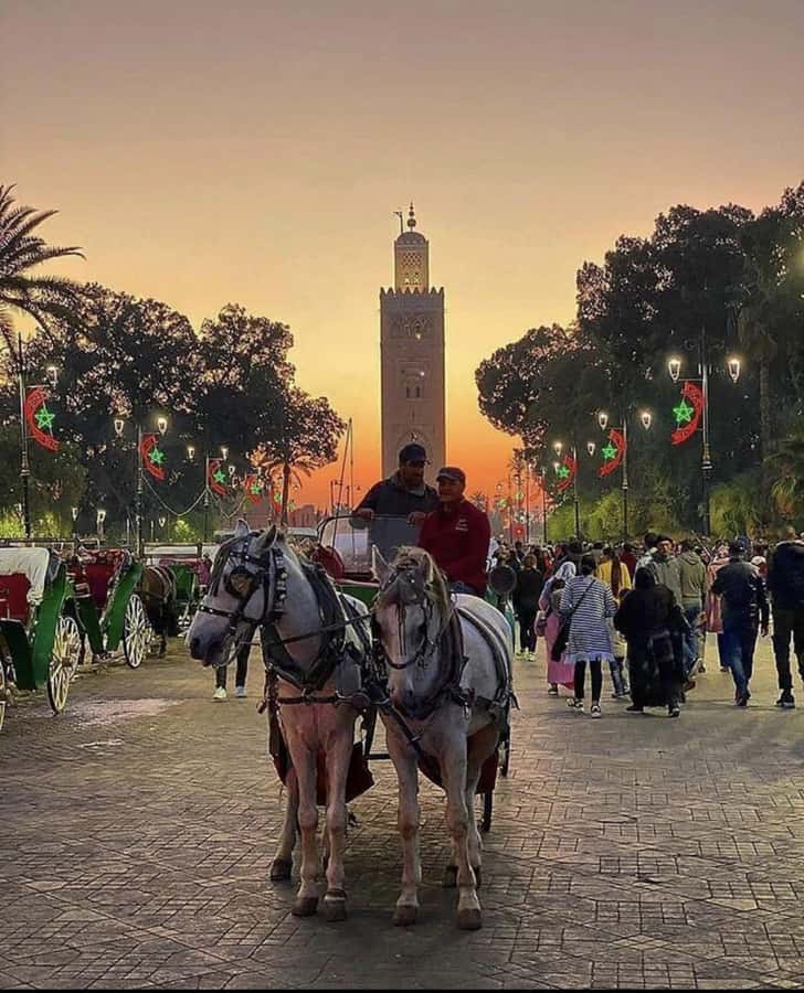 Marrakech: 1-Hour Traditional Horse-Drawn Carriage Tour - Choosing the best time: heat, light, and city traffic