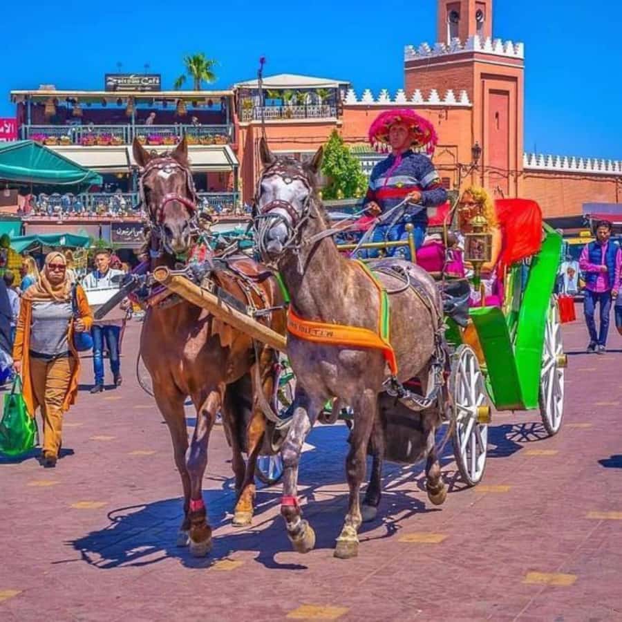 Marrakech: 1-Hour Traditional Horse-Drawn Carriage Tour - Starting near Marrakech, with pickup that needs a clear plan