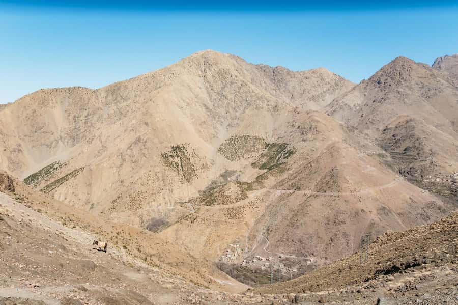Marrakech: 2-Day Atlas Mountains Trek with Village Stay - Should you book this two-day trek?