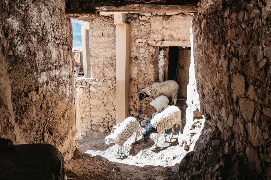 Marrakech: 2-Day Atlas Mountains Trek with Village Stay - A village lodge, warm food, and a cold night