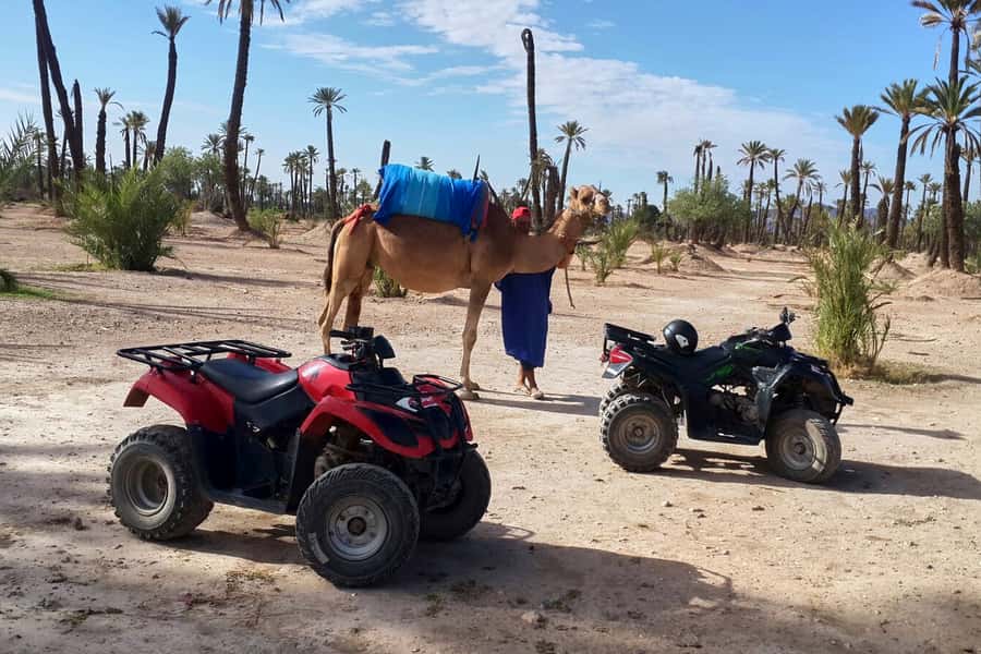 Marrakech: 2-Hour Quad Bike & Camel Ride in Palmeraie - Leaving Marrakech for the Palmeraie