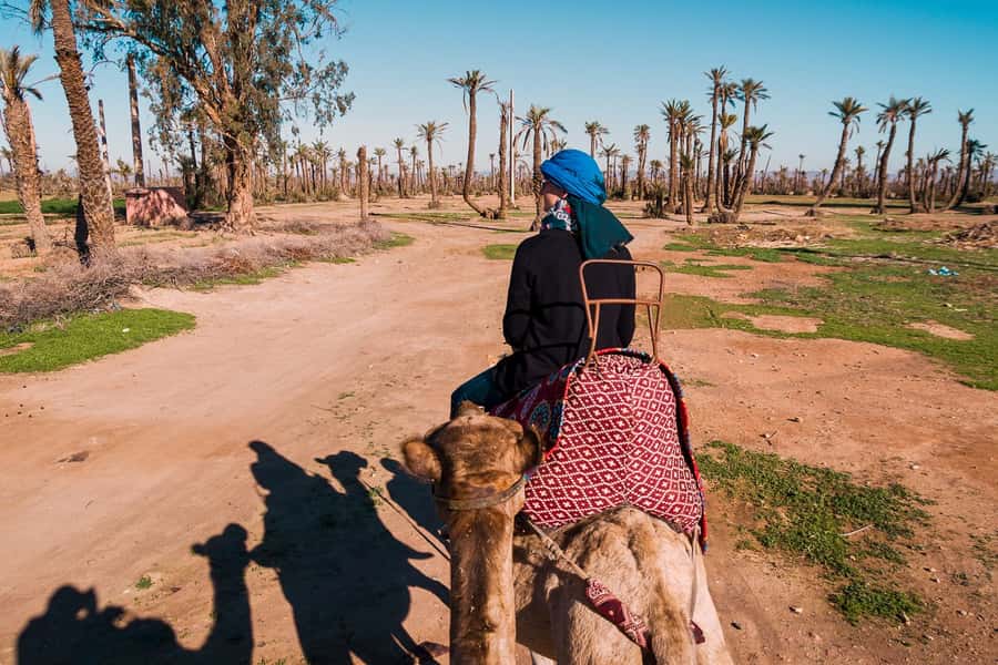 Marrakech: 2-Hour Quad Bike & Camel Ride in Palmeraie - One hour on a camel beneath the palms