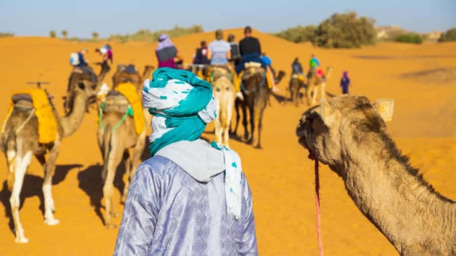 Marrakech: 3-Day Luxurious Desert Tour to Fes via Merzouga. - Who should book this $102 desert crossing?