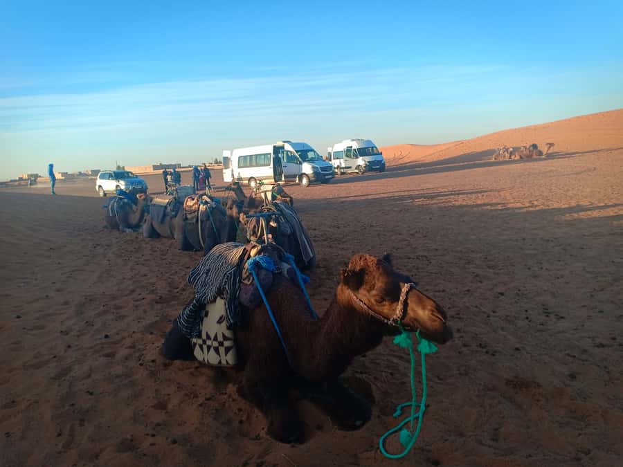 Marrakech: 3-Day Merzouga Sahara Desert Tour with Quad Ride - What the price includes, and what it does not