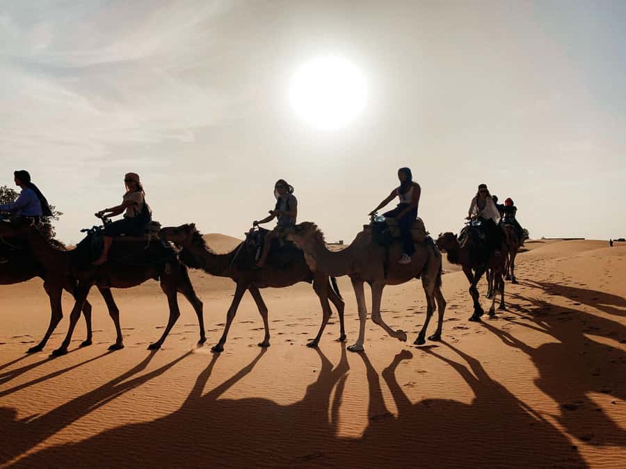 Marrakech: 3-Day Trip to Fez with Sandboarding & Camel Ride - The guides can shape the whole experience