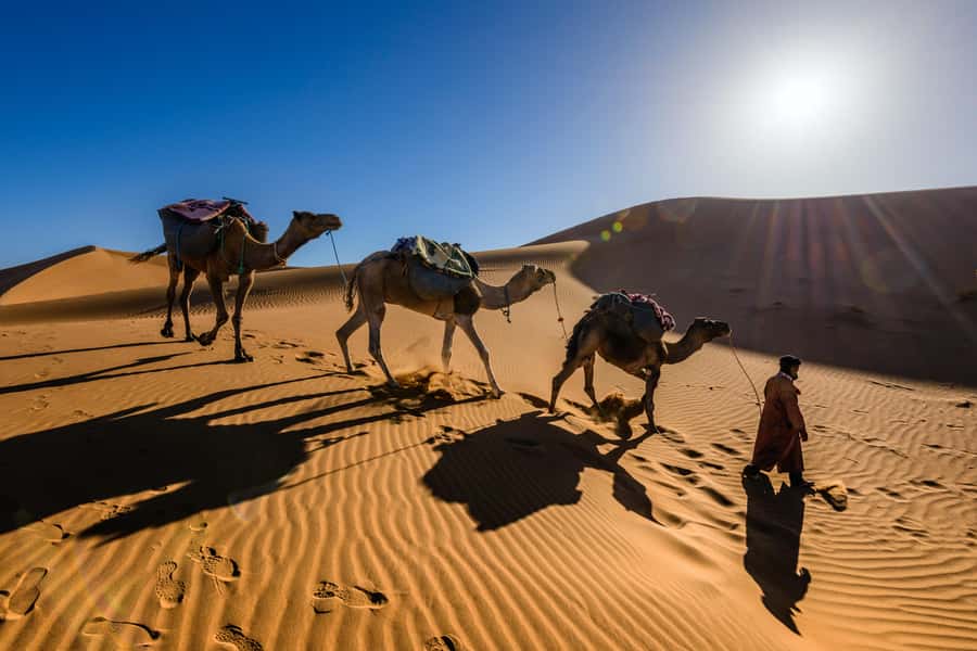 Marrakech: 3-Day Trip to Fez with Sandboarding & Camel Ride - Who should book this tour