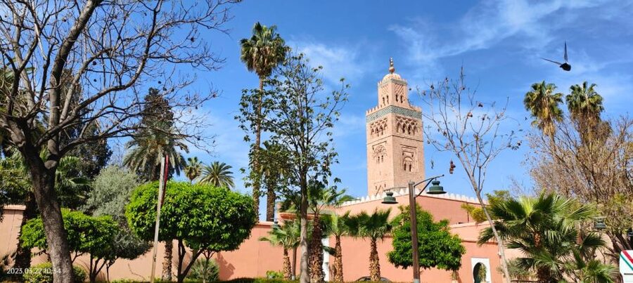 Marrakech 3-Hour Walking Tour - A short route through Marrakech’s old heart