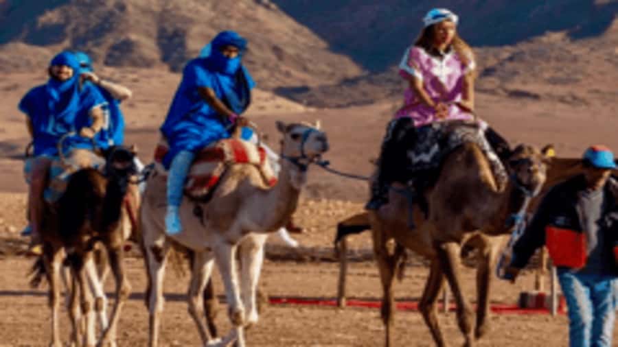 Marrakech Adventure: Paragliding, Camel Ride & Breakfast - From Marrakech to a Berber breakfast