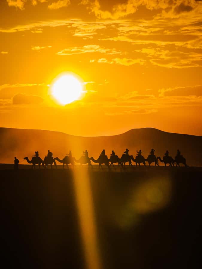 Marrakech: Agafay Camel Ride & Dinner with Fire Show Tour - Key Points at a Glance