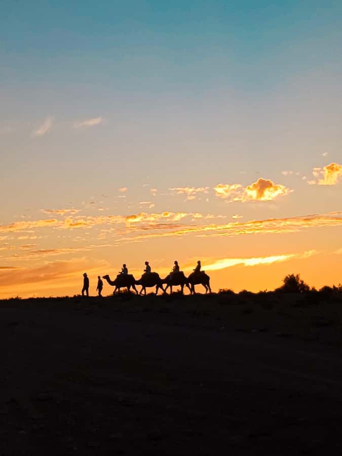 Marrakech: Agafay Camel Ride & Dinner with Fire Show Tour - Pickup From Marrakech and the Drive to Agafay