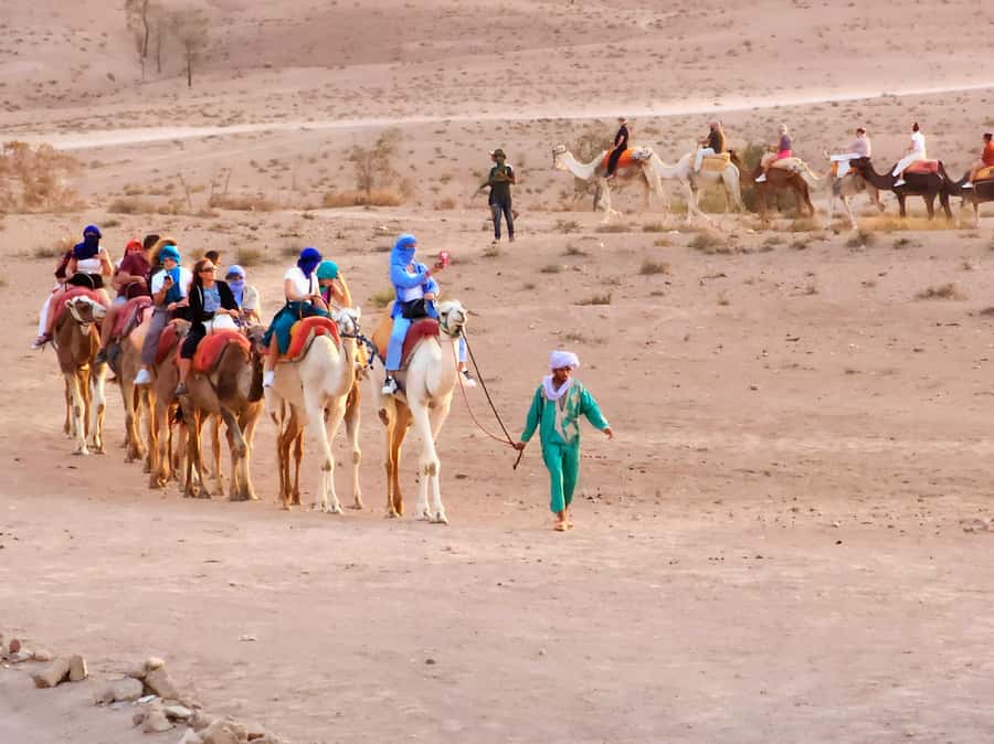 Marrakech: Agafay Camel Ride & Dinner with Fire Show Tour - Guides Make a Noticeable Difference