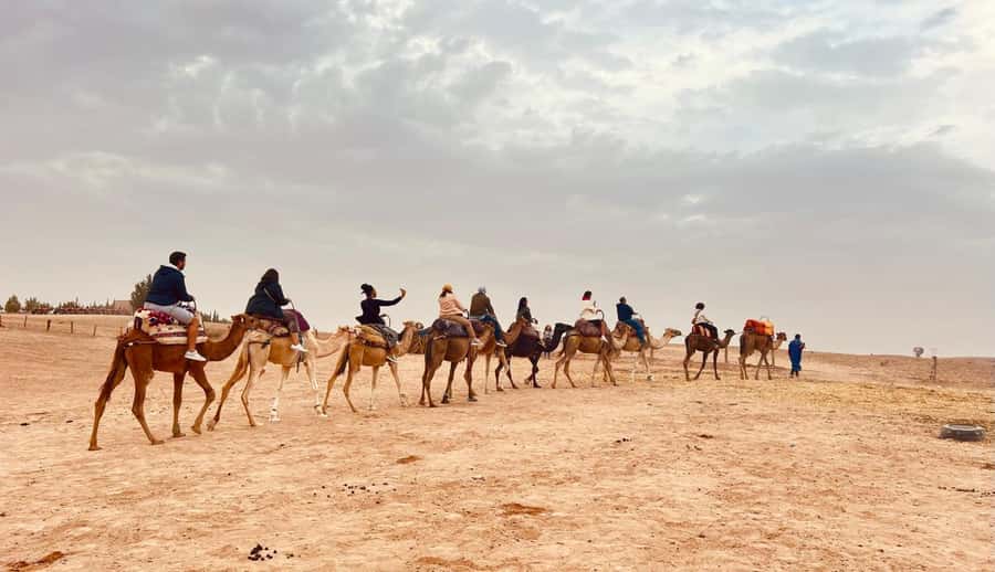 Marrakech: Agafay Desert Camel Ride, Dinner, Fire Show - How much value do you get for $15?